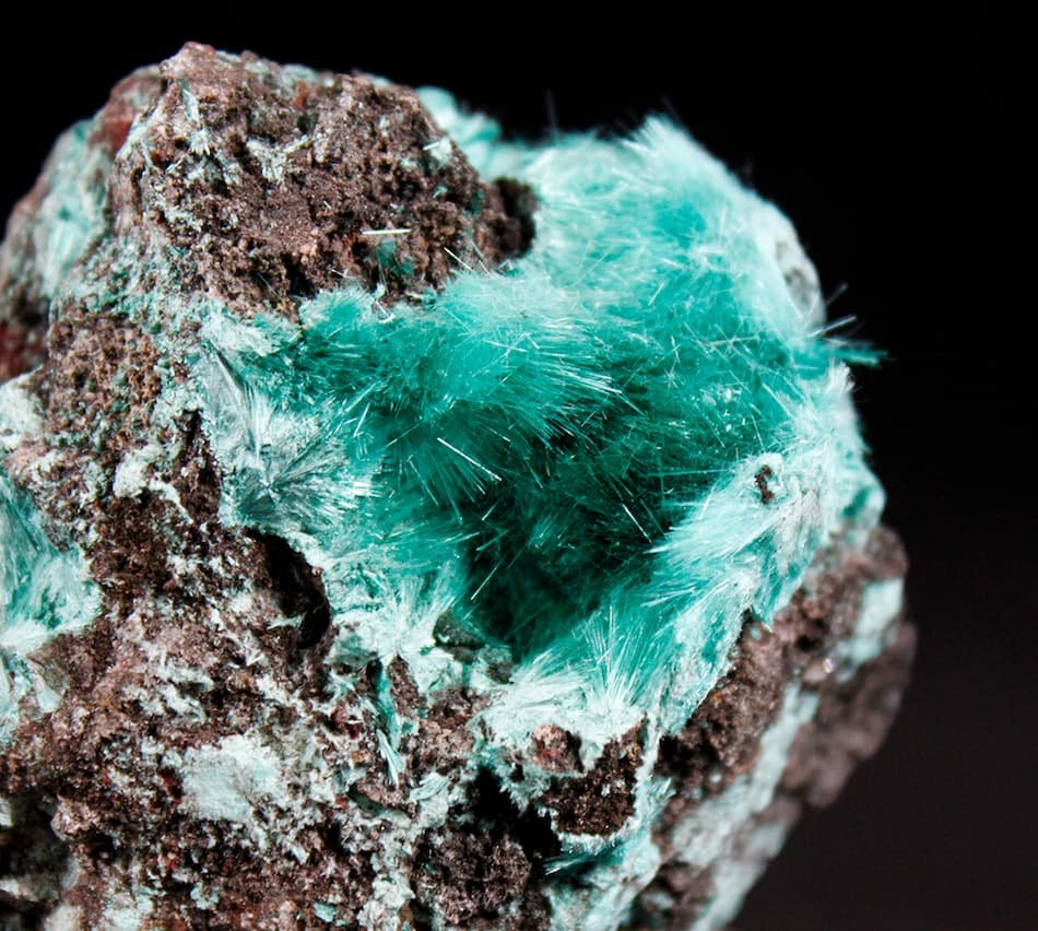 Cristaux fibreux turquoise de brochantite sur matrice, spécimen minéralogique de collection